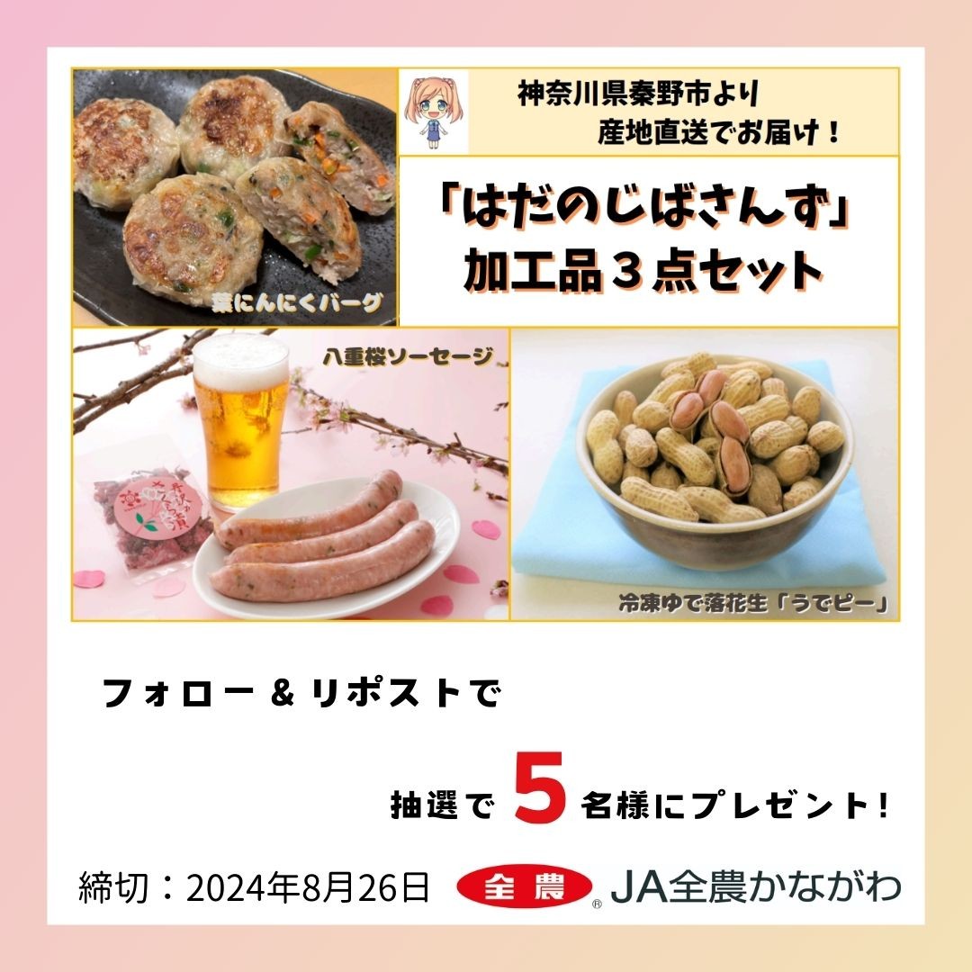 shokuikuzennoh's tweet photo. 🥜「はだのじばさんず加工品3点セット」プレゼント企画🥜

「はだのじばさんず加工品3点セット」が
抽選で5名様に当たるキャンペーンを開催🎁

応募方法
1️⃣@shokuikuzennohをフォロー
2️⃣この投稿をリポスト
〆切：2024/8/26

JAタウンでも販売👉https://t.co/92vqJQOSzg

#全農 #全農かながわ https://t.co/eHJH82o3QN