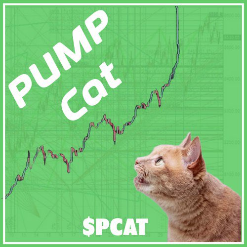 Pump Cat | $PCAT (@PCAT_ONSOL) / Posts / X