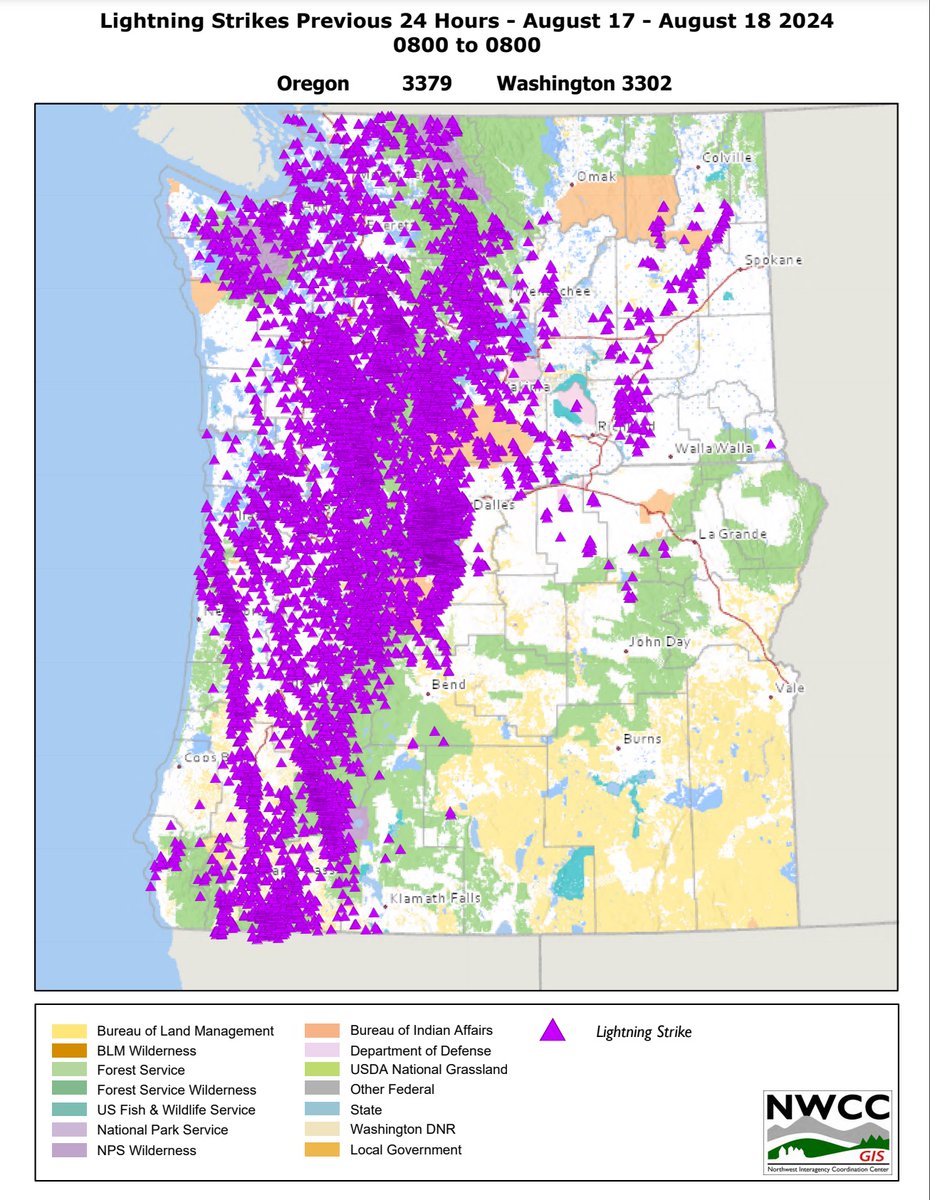 Morgan Palmer tweet media