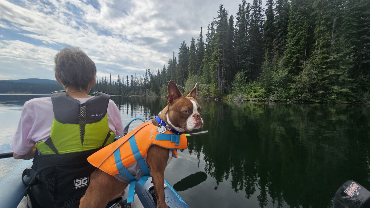 Mental and physical health for the win! Spent the morning kayaking at Community Lake. Now for an afternoon of writing.
