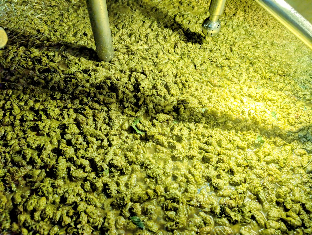 Be Easy Brewing tweet media