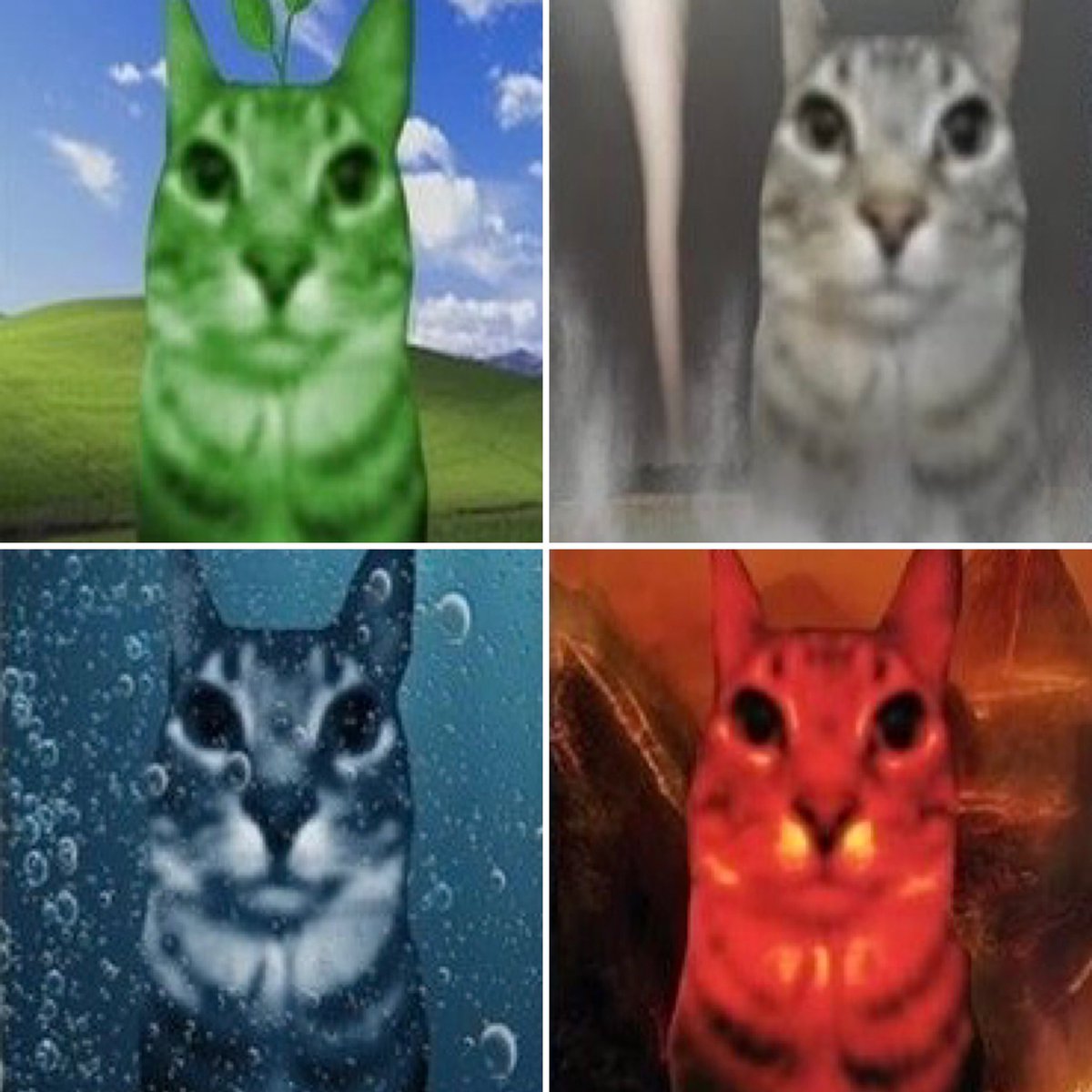 PunchingCat's tweet photo. the elements https://t.co/twdseoMEfr