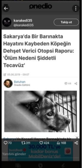 alwaysanimals34's tweet photo. Sakarya’da Bir Barınakta Hayatını Kaybeden Köpeğin Dehşet Verici Otopsi Raporu ; ‘ ÖLÜM NEDENİ ŞİDDETLİ TECAVÜZ ! ‘ #BarinakÖlümDemek @Akparti @RTErdogan @omerrcelik  @_cevdetyilmaz @ackilic76 @oktay_saral @EmineErdogan @RTEdijital @tcbestepe @ibrahimyumakli @Yenisehirlioglu @AvOzlemZengin @avabdullahguler