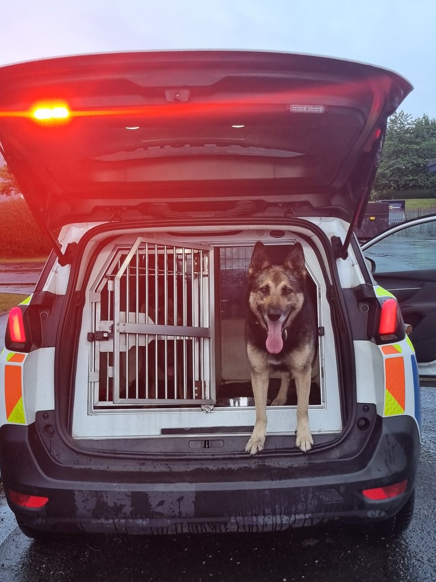 PSOSDogs's tweet photo. If you're thinking of drink driving when #PDBo is on duty....think again!  Running from the 🚙, isn't going to end well either!  Driver traced by #PDBo, so it was one for the jail @PSOSGreaterGlas  area in the early hours Sunday morning! 🚔 
#KeepingPeopleSafe
#KeepingCourtsBusy https://t.co/7rTQwXVSFT