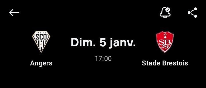 News SB29 tweet media