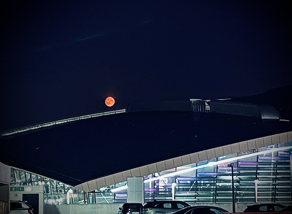 Trevor Austin tweet media