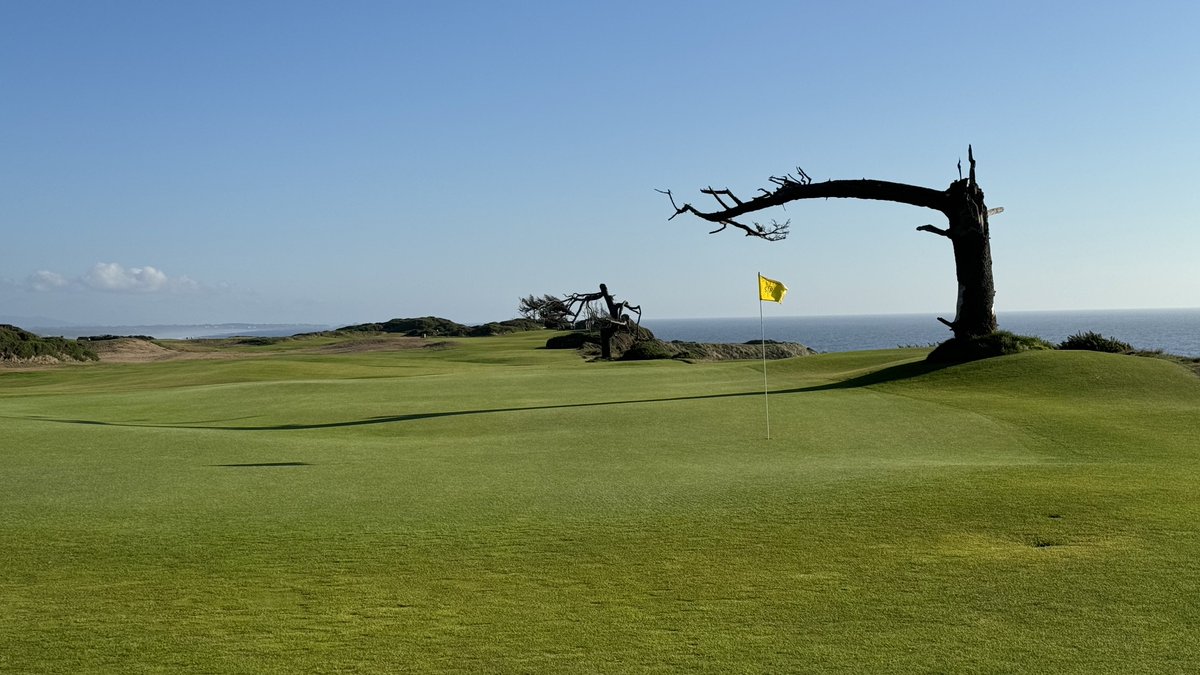 GolfGetaways Darin tweet media