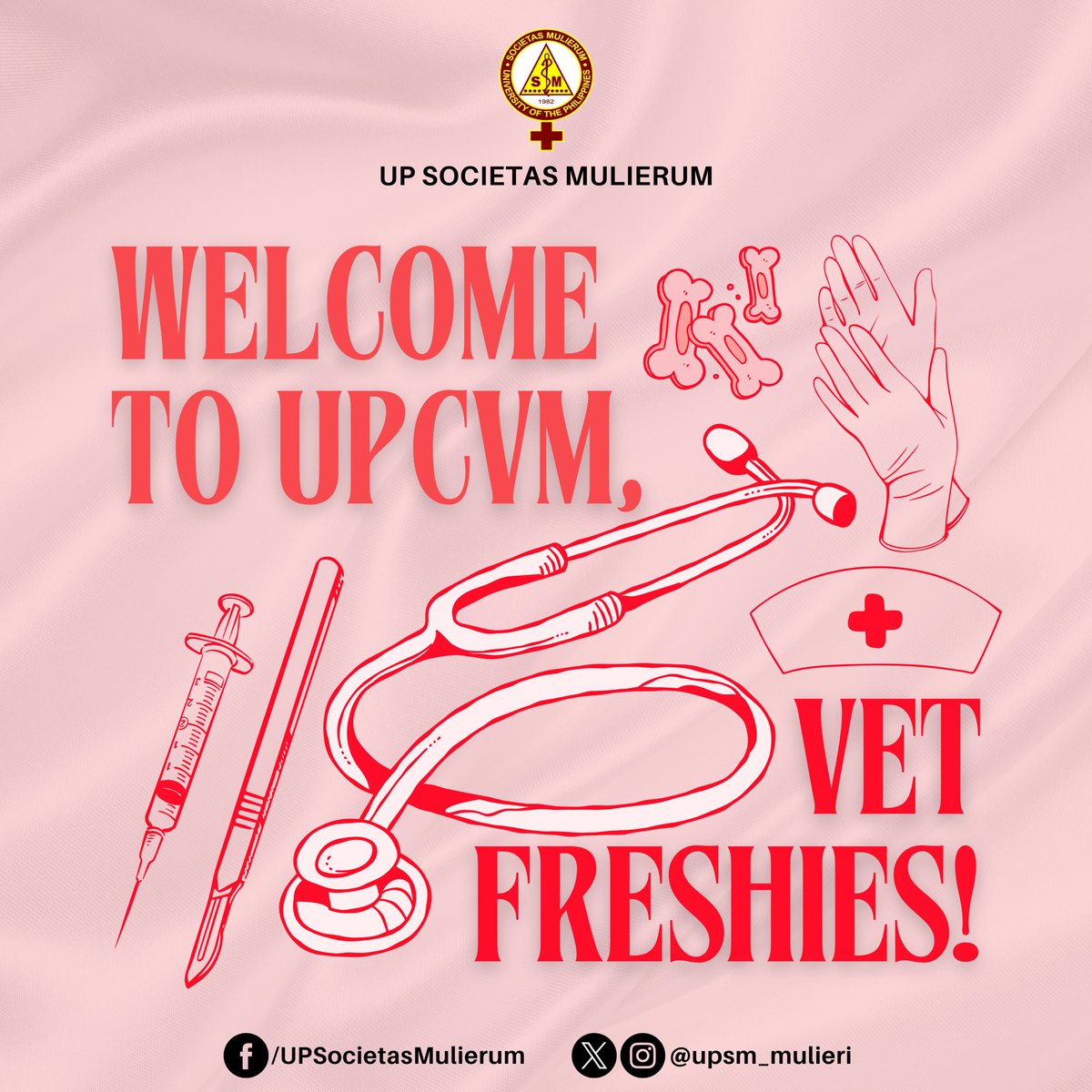 upsm_mulieri's tweet photo. It’s the newest chapter of your life, and you’re on the front cover! 👀✨

UP Societas Mulierum extends its warmest welcome to the future vets of Batch 2024. 🐾🥂 https://t.co/UvdBjk8JBX