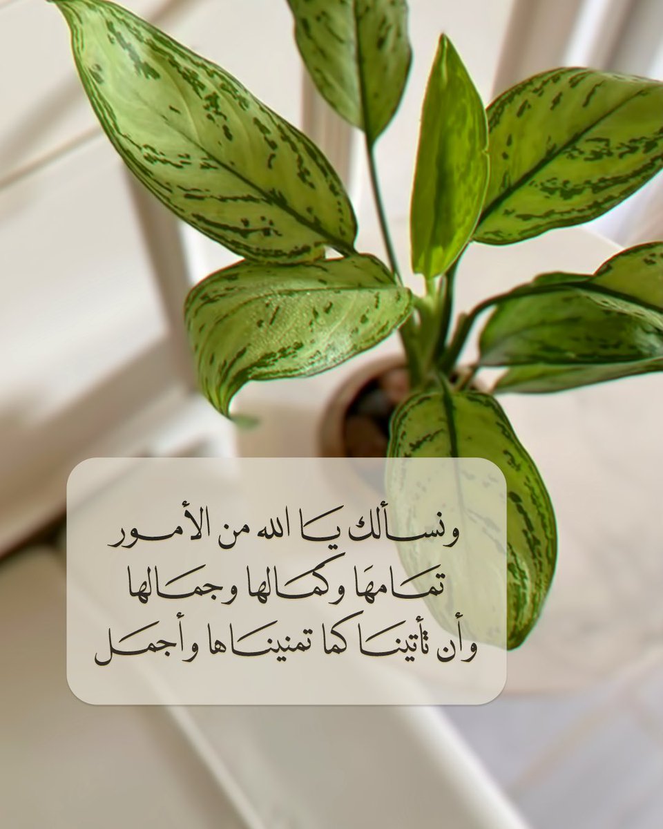 Pearla0203's tweet photo. 🤍🍃
ونسألك يَا الله من الأمور
تمَامهَا وكمَالها وجمَالها 
وأن تأتينَا كما تمنينَاها وأجمَل
•
#صباح_الخير https://t.co/HL6xMpL1al