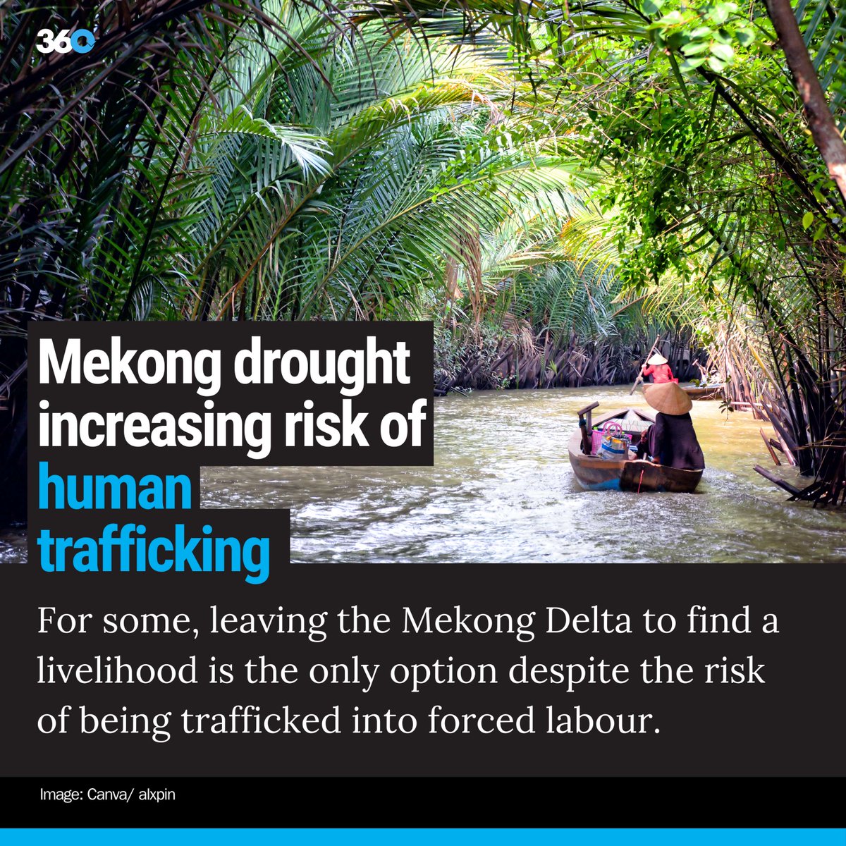 360info.global tweet media