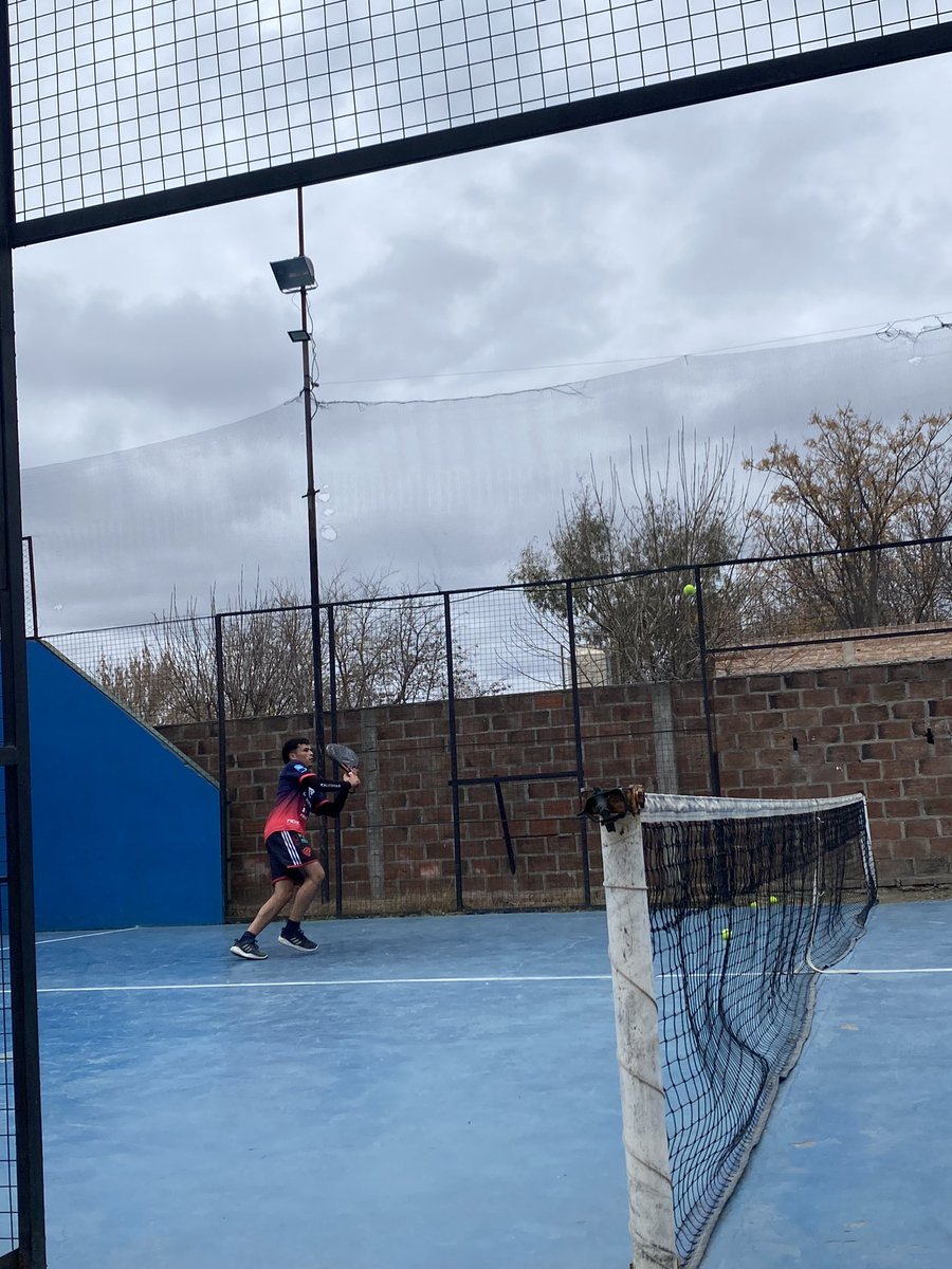 🎾
