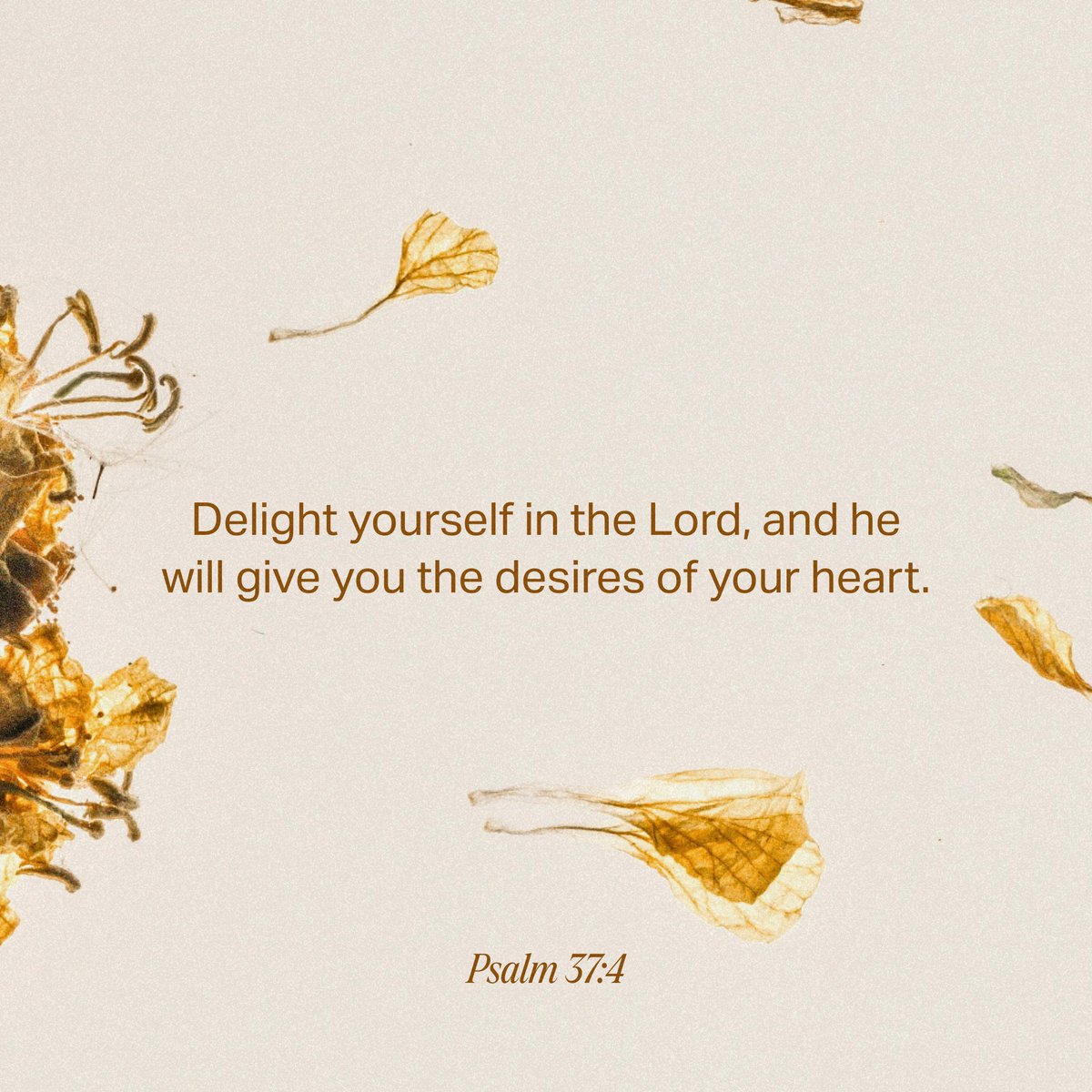 YouVersion's tweet image. Psalm 37:4