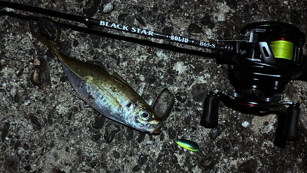 spiralmyheart's tweet photo. ベイトアジング、
スプーンアジング楽しおす。
#ClearBlue
#57BFAny
#Daiwa
#月下美人AIRTW
#クルセイダー
#XESTA
#B65S
#アルファスAIRTW
#プログレ
#アジミルク
#シマノ
#スリムスイマー
#ベイトアジング
#ソルトベイトフィネス
#スプーンアジング https://t.co/nzitF79MUS