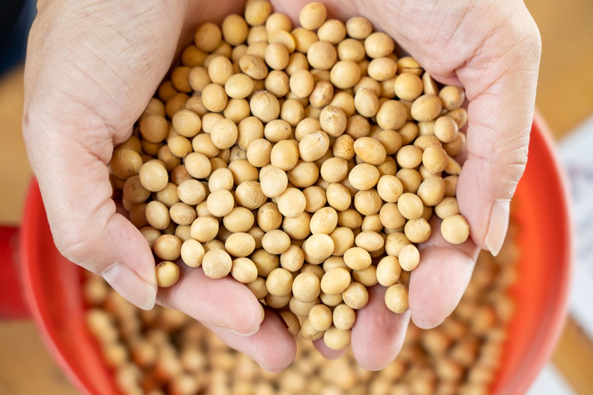 Taiwán Hoy tweet media