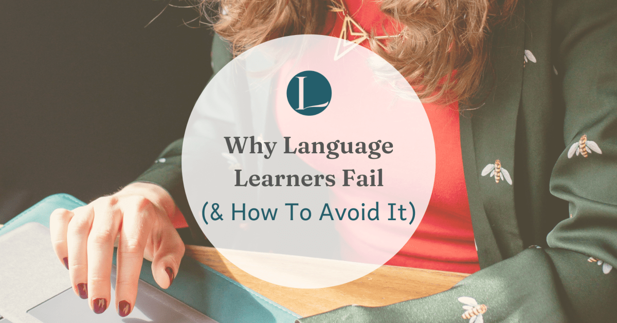 Lingotastic tweet media