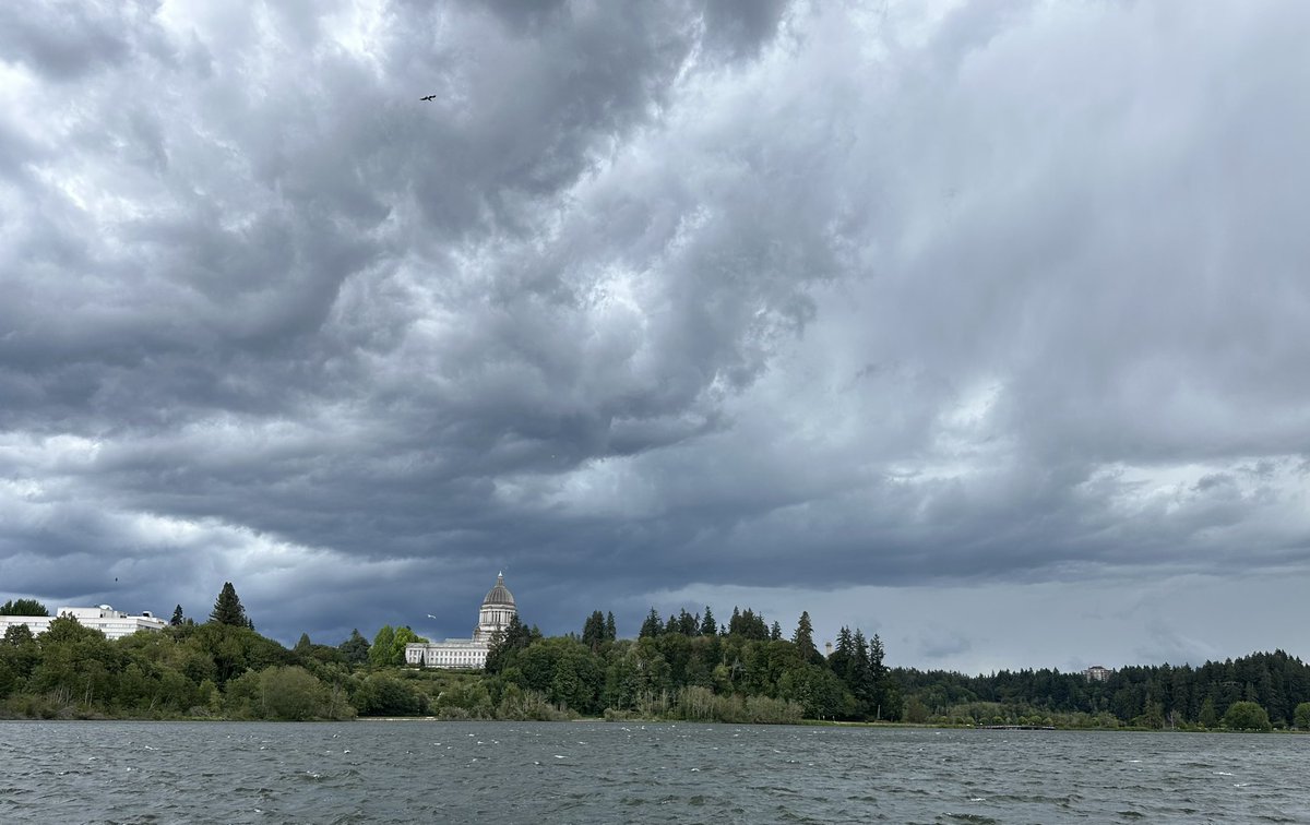 Laineybugger's tweet image. Olympia storms this afternoon at the capitol. Heavy rain, hail, and wind. @KSeattleWeather