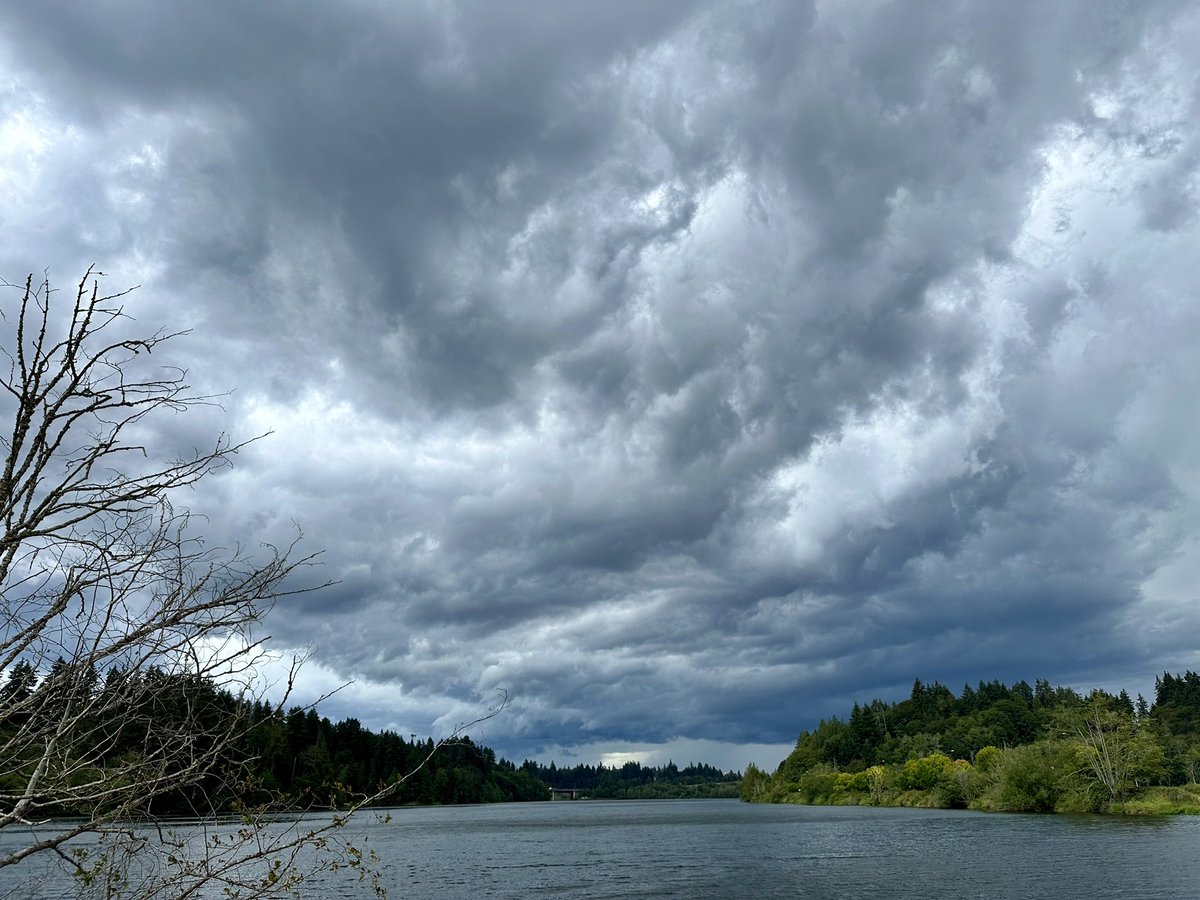 Elaina G (@laineybugger) on Twitter photo Olympia storms this afternoon at the capitol. Heavy rain, hail, and wind. <a href="/KSeattleWeather/">Seattle Weather Blog</a> Olympia storms this afternoon at the capitol. Heavy rain, hail, and wind. <a href="/KSeattleWeather/">Seattle Weather Blog</a>