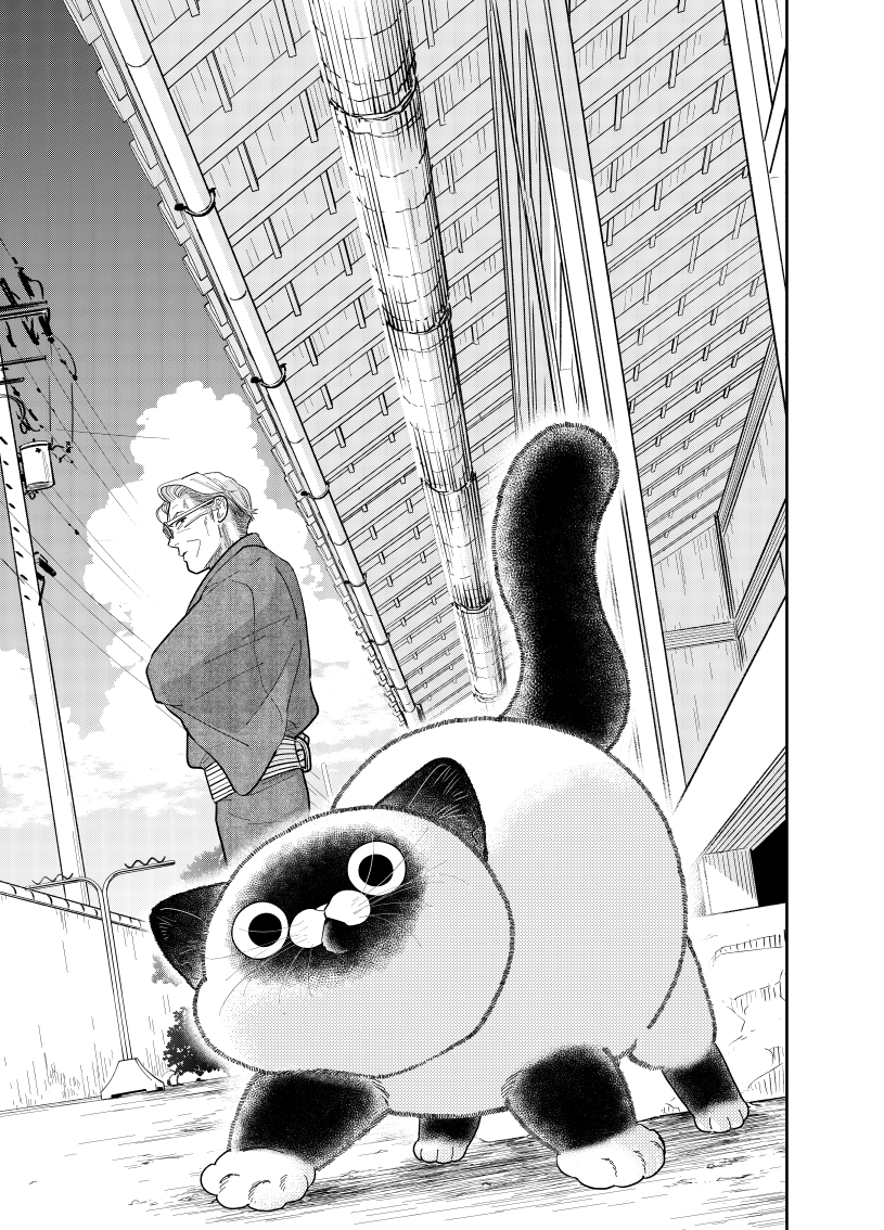 1／2） | 片倉 頼📦オヤジとにゃん吉👨‍🦳🐾🐱1/ 95⃣巻発売