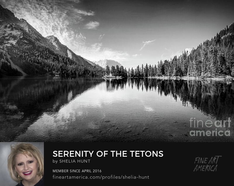 shelia_hunt's tweet photo. “𝐒𝐄𝐑𝐄𝐍𝐈𝐓𝐘 𝐎𝐅 𝐓𝐇𝐄 𝐓𝐄𝐓𝐎𝐍𝐒” ❤️
Prints available at https://t.co/vrBhdlHgIN
#SheliaHuntPhotography #Tetons #GrandTetons #Wyoming #BuyIntoArt #BestoftheUSA #BestOfThe_USA #BigWyoming #CowboyState #EqualityState #blackandwhite https://t.co/iS2d4rhPsk