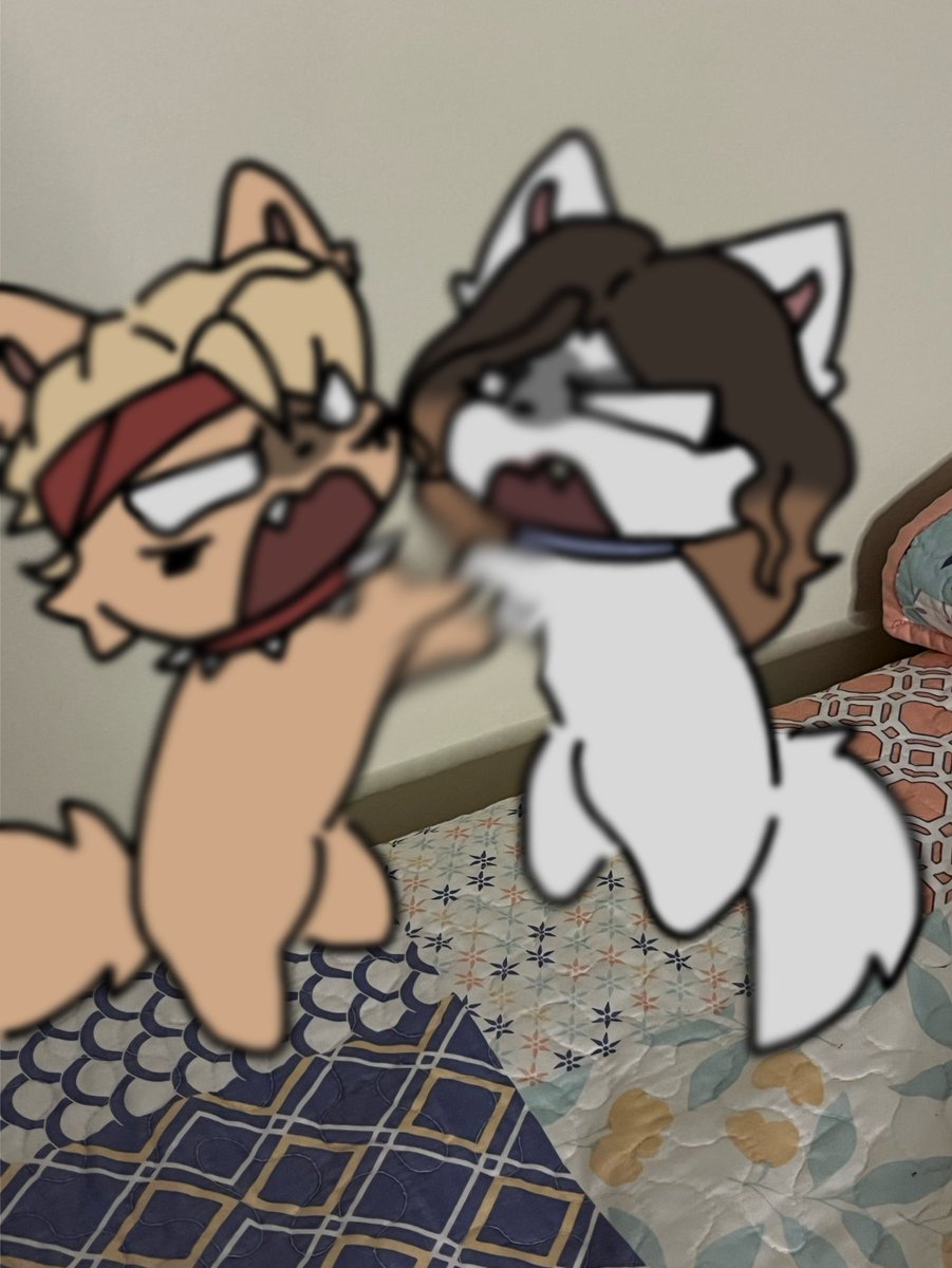 Breadloaffof's tweet photo. Guys stop fighting your scaring Mason!😭🐾
#tpof #memes https://t.co/aMx4shTJkg