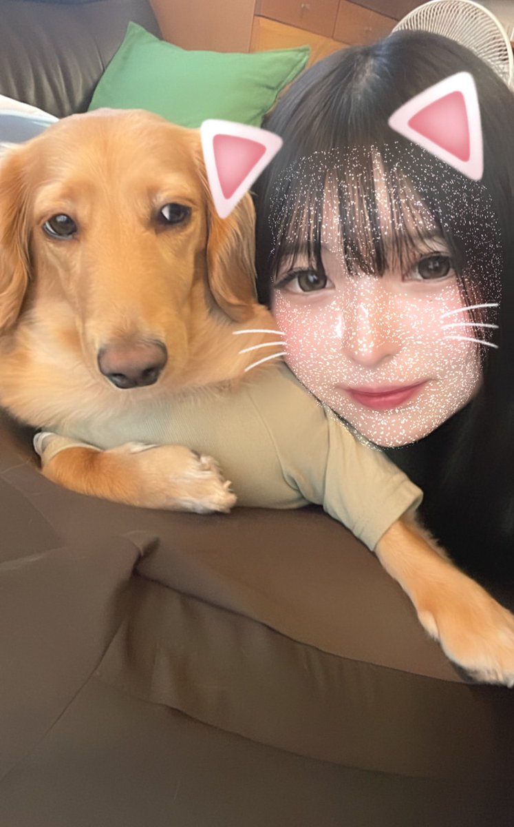 gasumich's tweet photo. 最近ゲームより麻雀にハマりすぎて雀荘に通っていてこんな生活をしてると一生独身なんじゃないかと思ってます😑
犬に迷惑そうな顔されててくさ https://t.co/F785jSvoVs