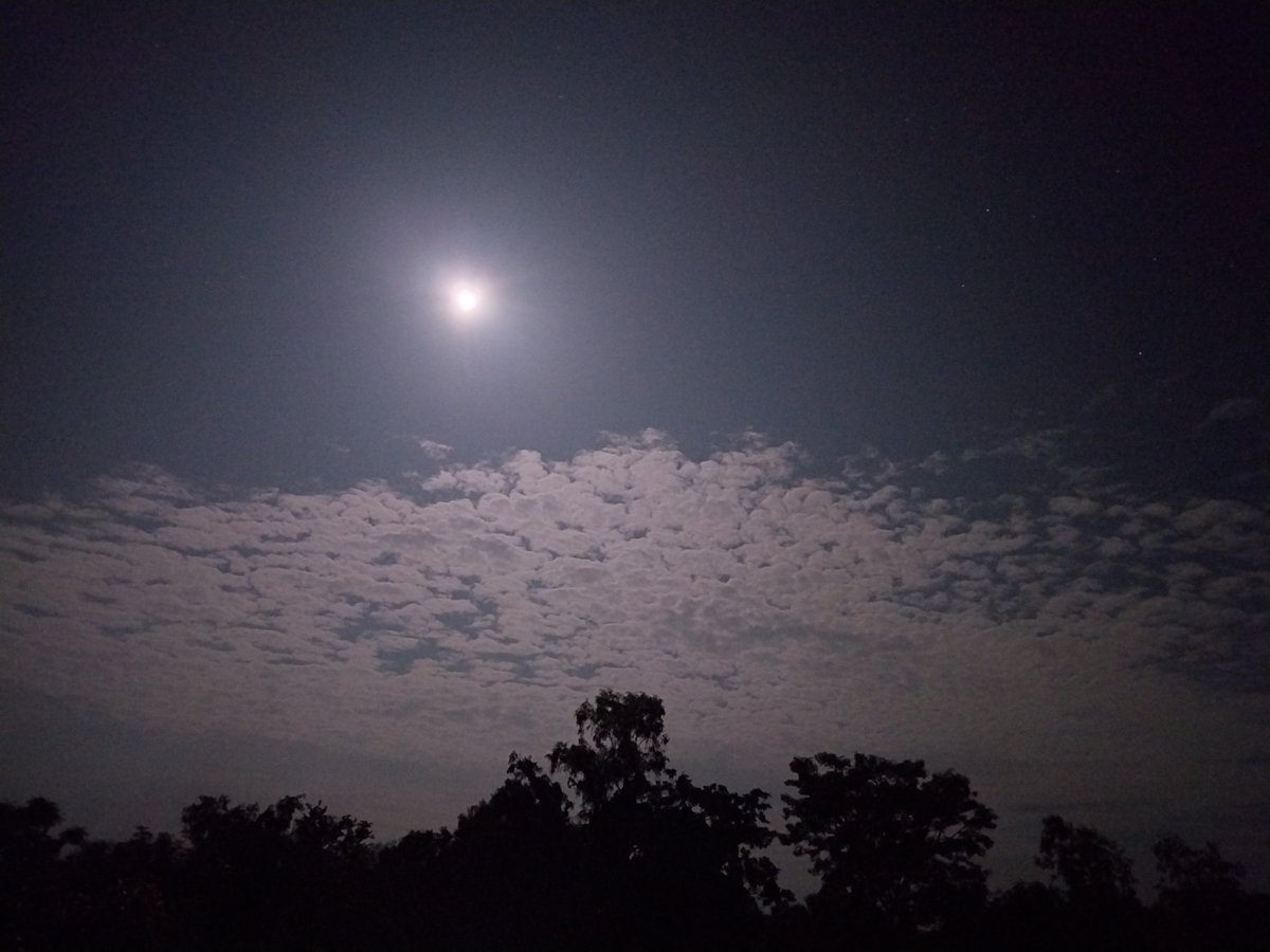 Nature 💫💫
#night #beautiful #JusticeForMoumita #DesafioXX 
#RENJUN_RainsinHeaven #mountain 
#iPhone