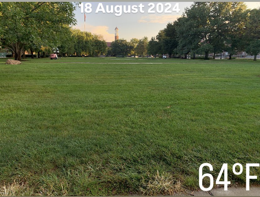 Sunday check in at The Memorial Mall - the turf and soil is plenty hydrated these days