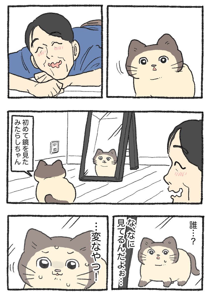 ねこに転生したおさじさん。その531 | やじま@ねこおじ6巻発売中 さん