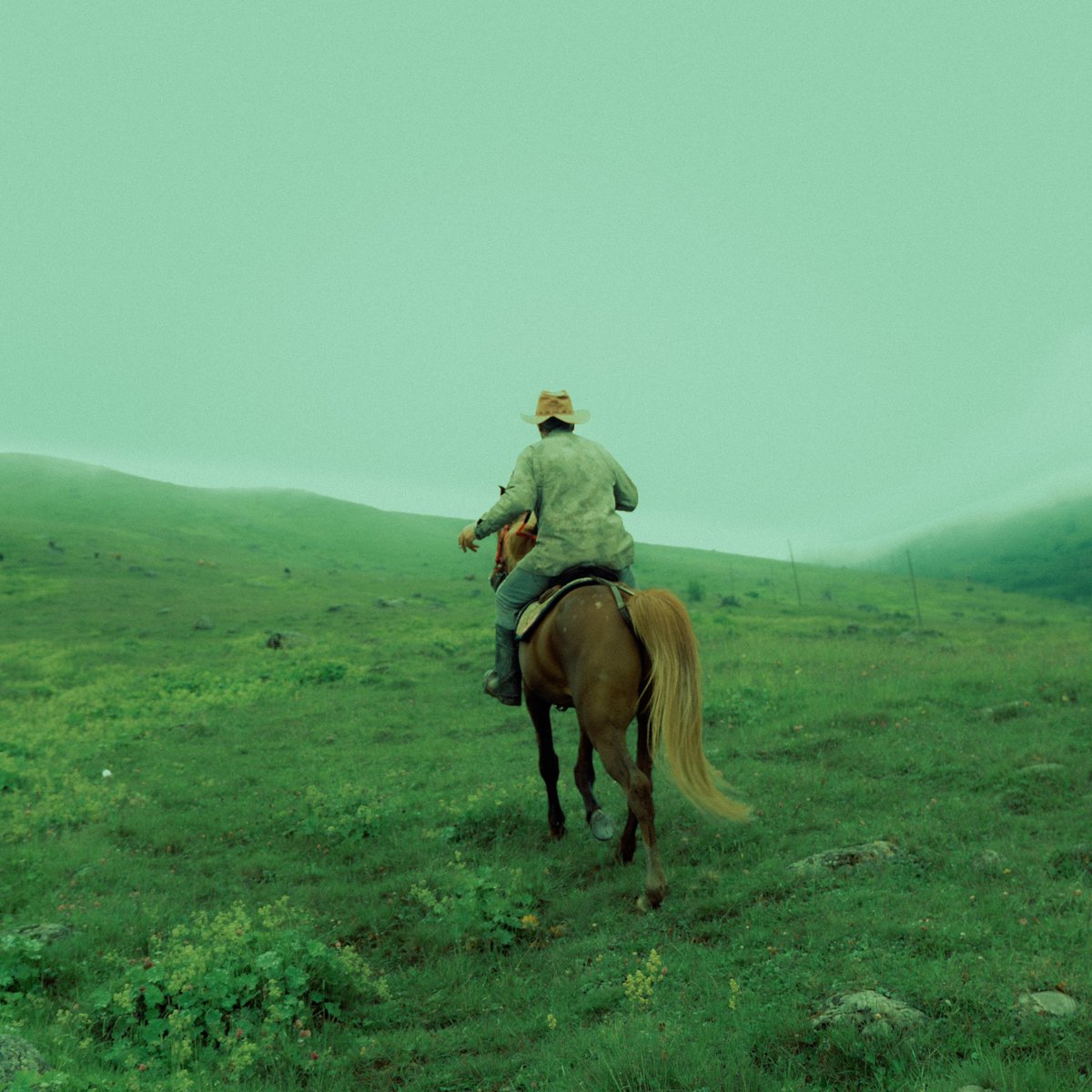 l_bsoo's tweet photo. 🐴🌾🤠 https://t.co/9Kg4ijaaZJ