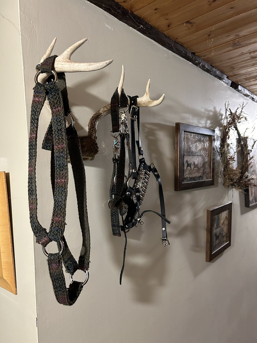 🦌⛓️grab and go⛓️🦌