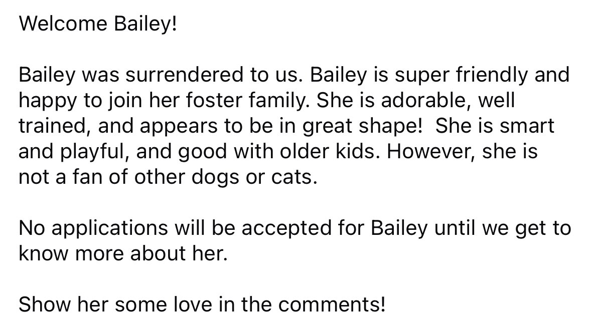 NEBTR's tweet photo. Welcome Bailey!  💛

Bailey is super friendly and happy to join her foster family. She is adorable, well trained, smart and playful, and good with older kids.

No applications will be accepted for Bailey until we get to know more about her. https://t.co/ACoi241c2v