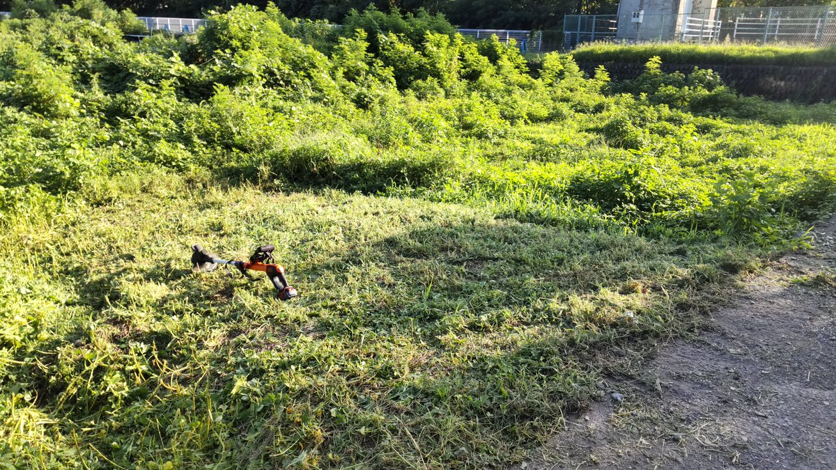 tomi0226's tweet photo. この土日は借りた畑の草刈りやー
2時間やっても車用のスロープしか刈れんかった…
バッテリーが2時間分しかないから、あと何日かかるやら笑
ヨモギ、ツユクサ、ヒシバ、謎のツル植物
全体で見れば結構いい土でラッキー♪
#新規就農 #有機栽培 #自然農 #家庭菜園
#ブラックデッカー #BlackDecker https://t.co/Ed4a5APDrO