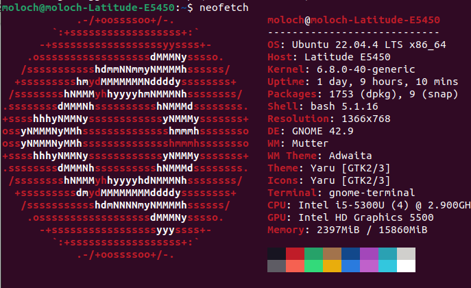 Daliantross's tweet image. #Screenfetch or #Neofetch? Do you have a preference? What&apos;s the first package you install on a fresh #Ubuntu SSD?