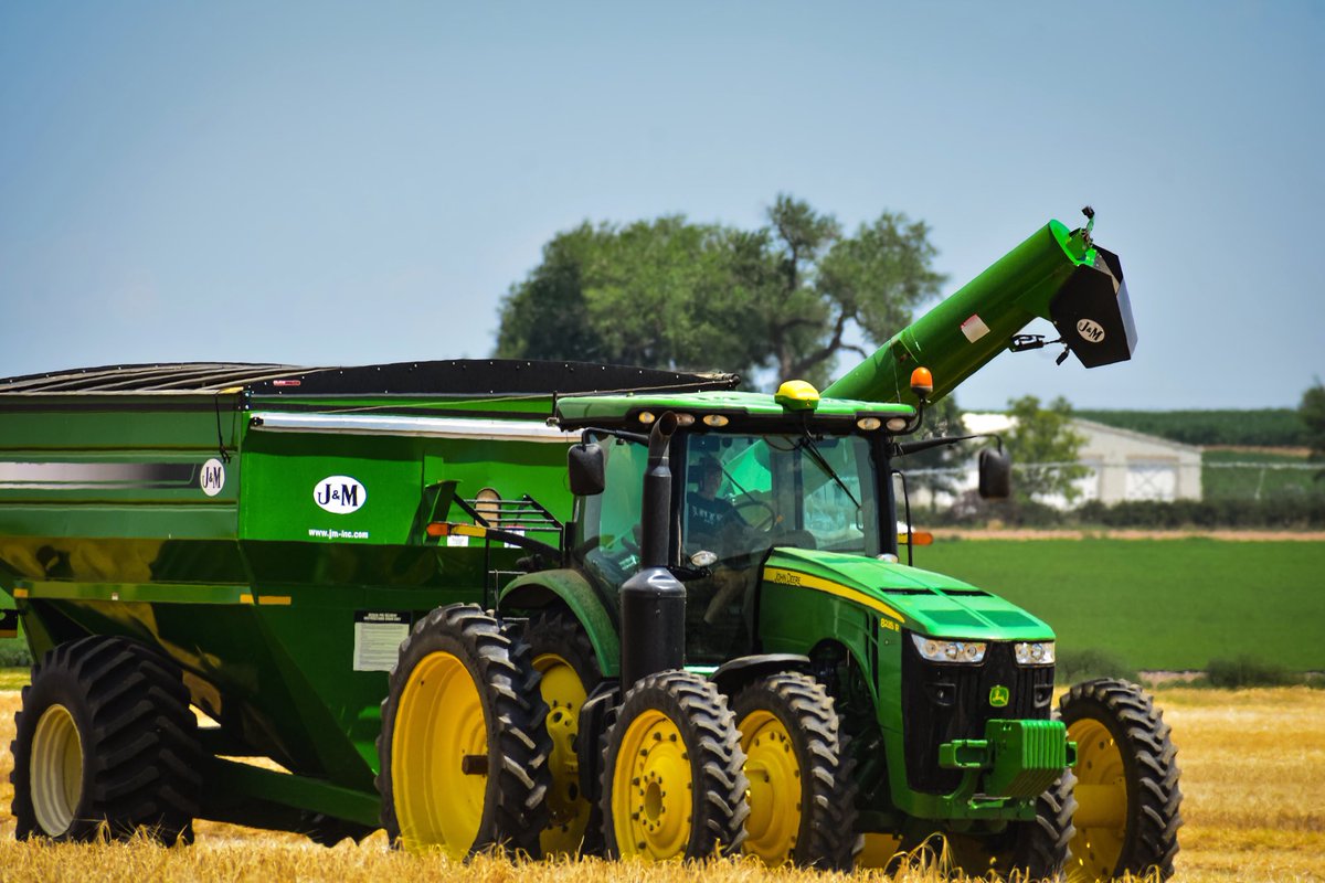 agrigrowthphoto's tweet photo. In the quiet hum of a green machine, we sow the seeds of tomorrow today, nurturing the promise of growth, resilience, and harvest. Each furrow turned is a step toward a future rooted in hope and hard work. 🌾🚜
#SowingTomorrow #AgricultureLife #HarvestHope #FarmToFuture https://t.co/Zhhrkadr5x