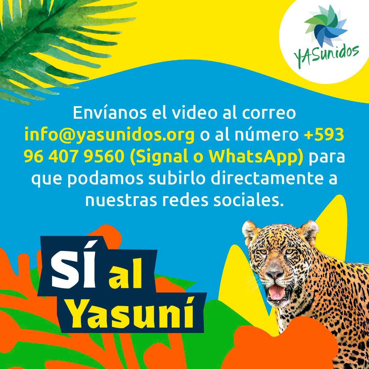 Este #20DeAgosto se cumple un año de la victoria del #Yasuní, pero el gobierno de <a href="/DanielNoboaOk/">Daniel Noboa Azin</a> sigue sin cumplir el mandato popular del pueblo ecuatoriano.

Para hacer escuchar nuestra voz, súmate a esta campaña de presión para que respete la consulta popular.

#SíAlYasuní