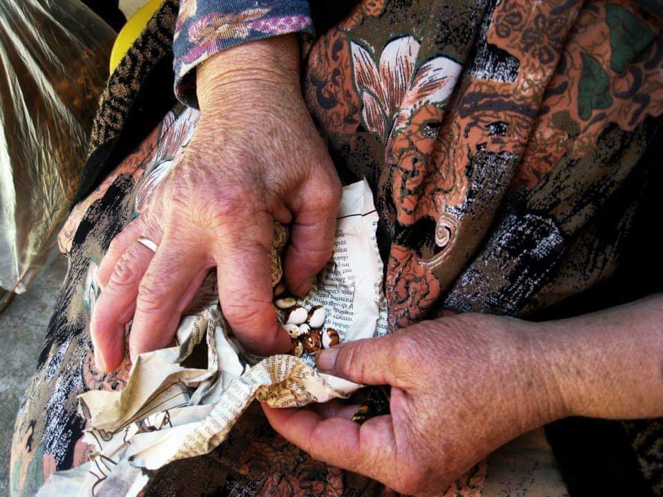 Araştırmada yerel tohumların özellikle kadınlar tarafından korunduğu ve bu konudaki bilgilerinin erkeklerden çok önde olduğu görülmüştür.
 Kadınlar, yerel tohumların aileyi daha çok desteklediğine ve beslenmede daha sağlıklı olduğuna inanmaktadırlar.
 Bu değerler sistemi, yerel