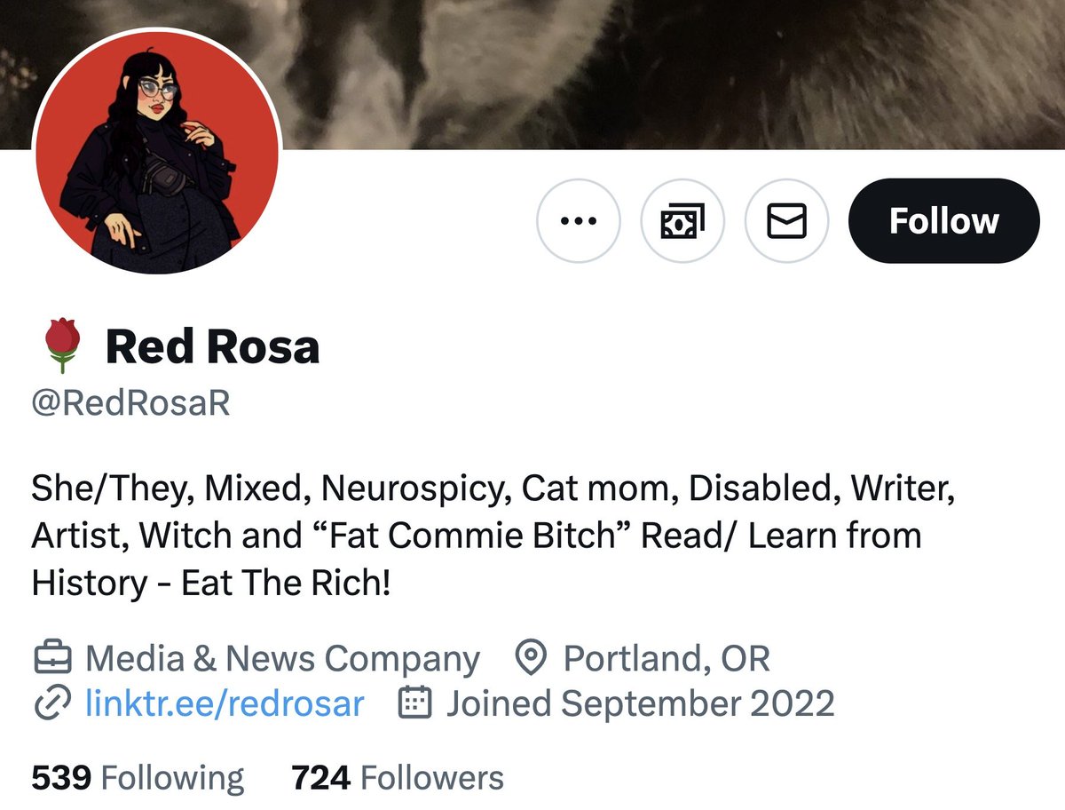 MrAndyNgo's tweet photo. Portland Antifa fake journalists are among those heading to the DNC to make propaganda. 

"Red Rosa" is the alias for Alexandra Rosa. She is a friend of Portland Antifa ringleader Alissa Azar, who was convicted of a felony and more at trial earlier in the week. https://t.co/mEN8EHcX7a
