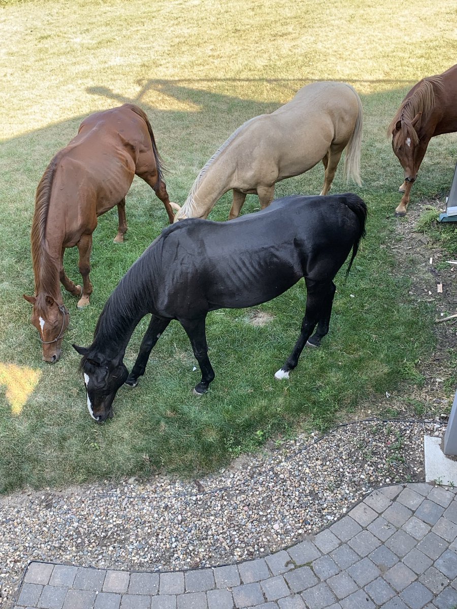 Country living is hard to beat!