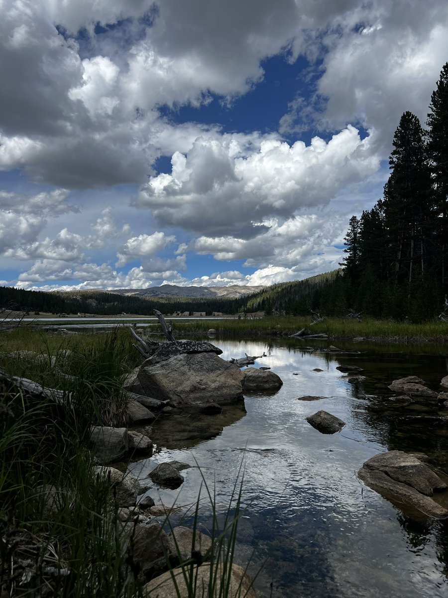 68leonanoel89's tweet photo. I had the best camping trip the last few days!! I definitely got some sun, all my freckles are popping now. https://t.co/DlpccMReHy