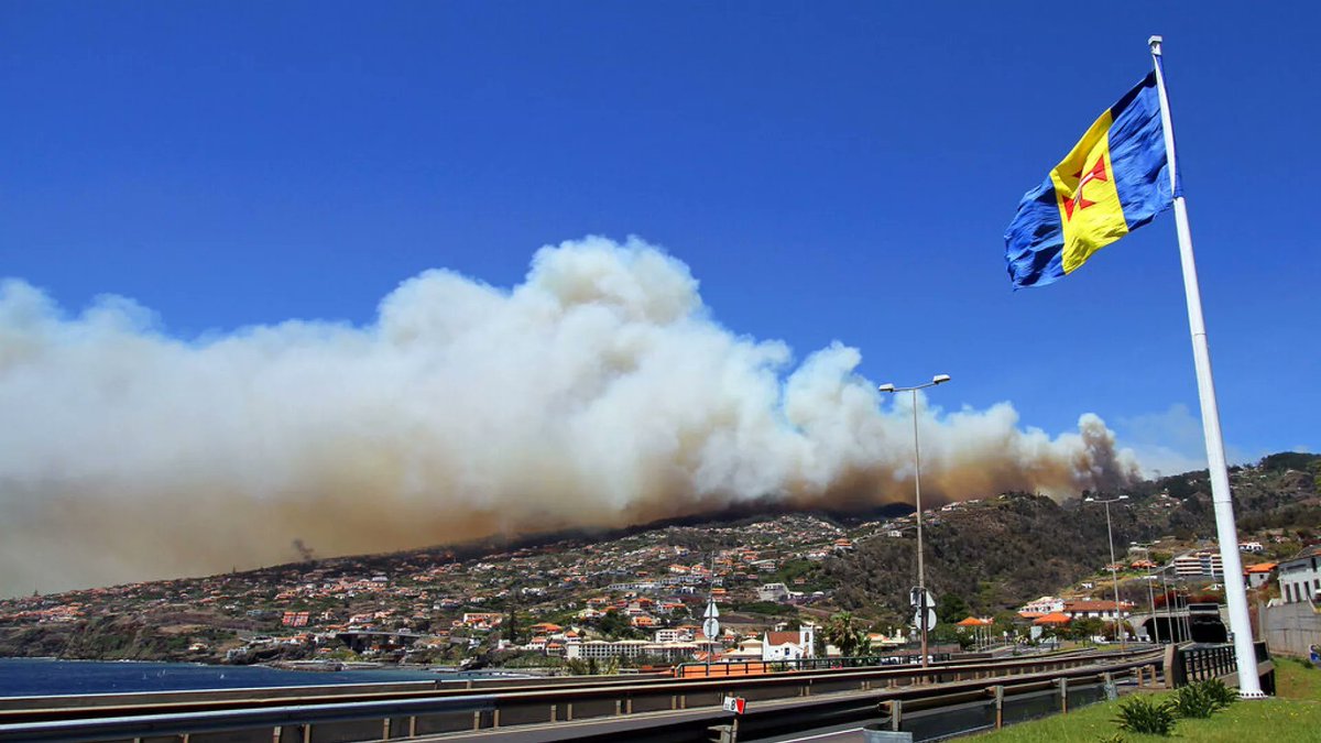 ferrandalmau78's tweet photo. 4) #IFMadeira se declaró el miércoles por la mañana en Serra de Água, un municipio de Ribeira Brava, y se propagó a las parroquias vecinas. Los fuertes vientos  y las condiciones meteorológicas adversas unidas a la orografía están ayudando de forma crítica a la propagación https://t.co/Y93hsN36c4