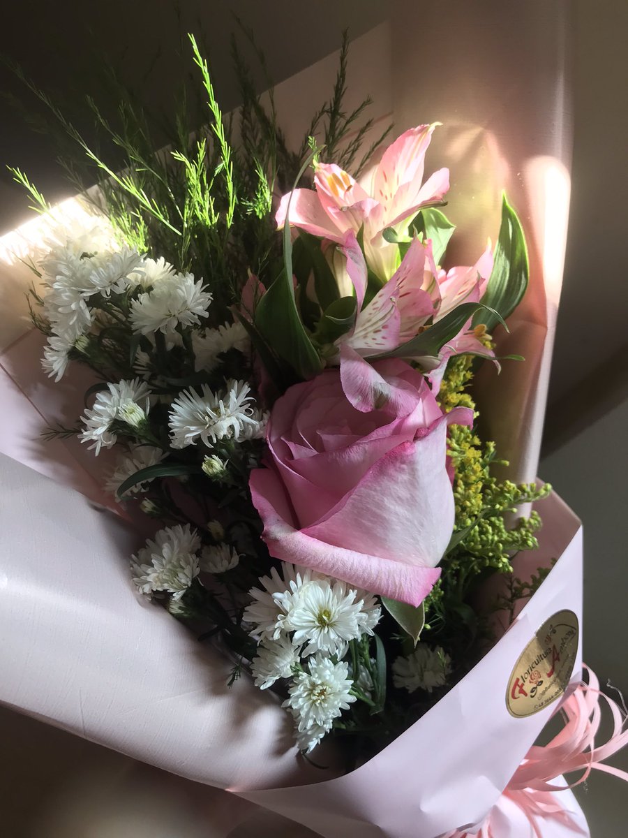 iamnymos's tweet photo. fiquem com as flores que meu namorado me deu. 💗 https://t.co/d8WZmSqi1y