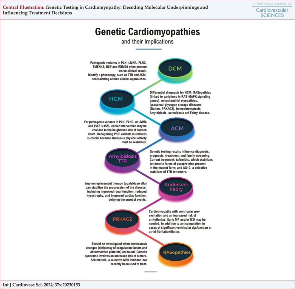 Hablemos de "Pruebas genéticas en la miocardiopatía: descifrando los fundamentos moleculares e influyendo en las decisiones de tratamiento"