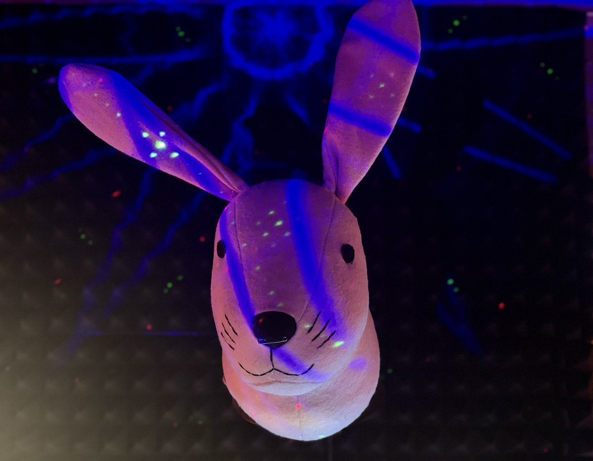 THE BUNNY tweet media