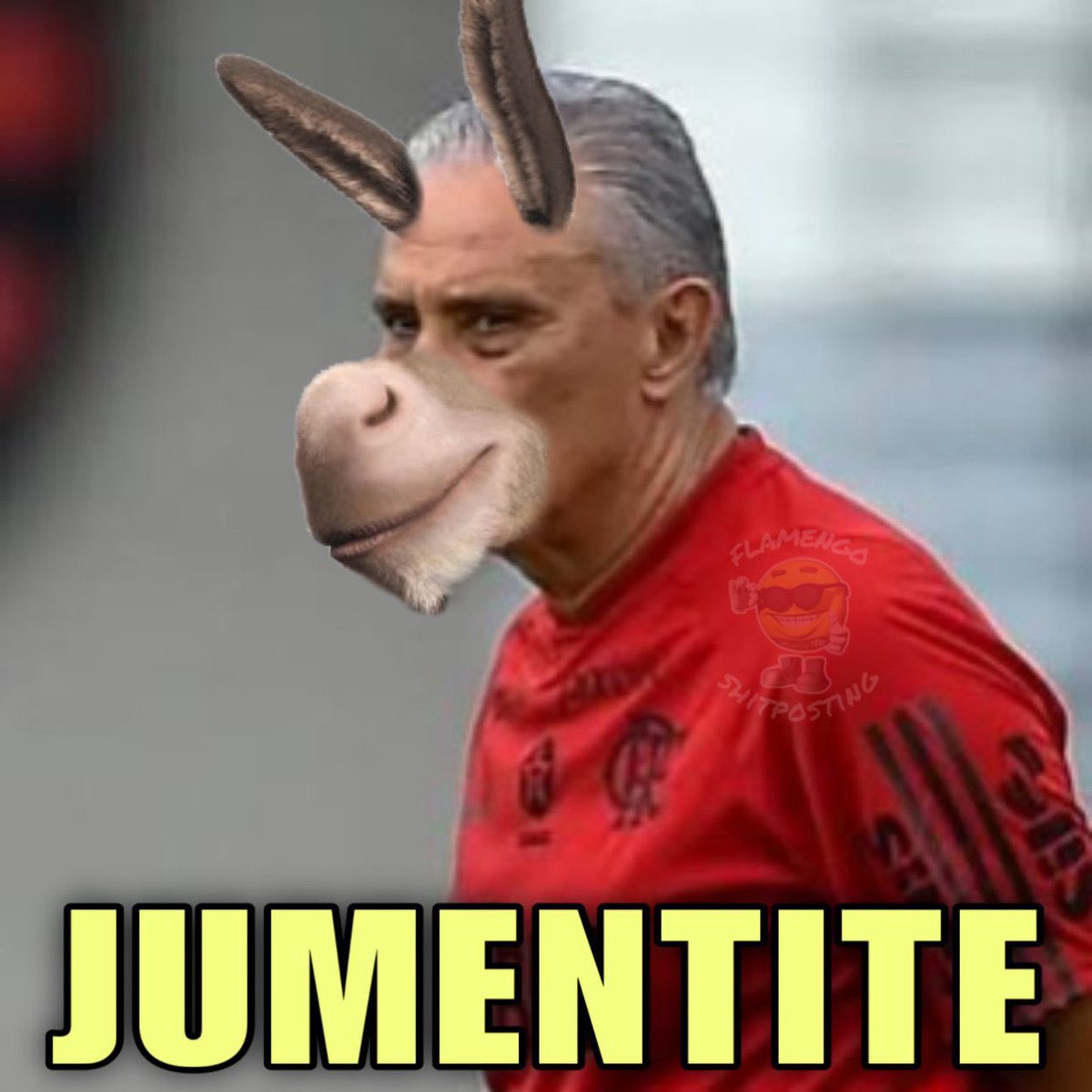 ambrosio_igor's tweet photo. @Flamengo Vaza seu animal ridículo 
#ForaTite https://t.co/CSMI3QJNYp