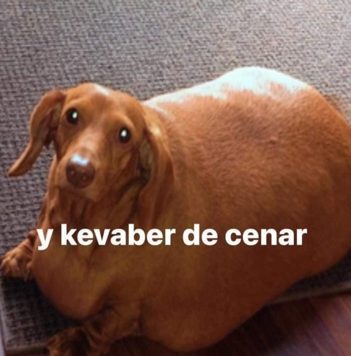 yo despues de haber comido 6 veces en el dia