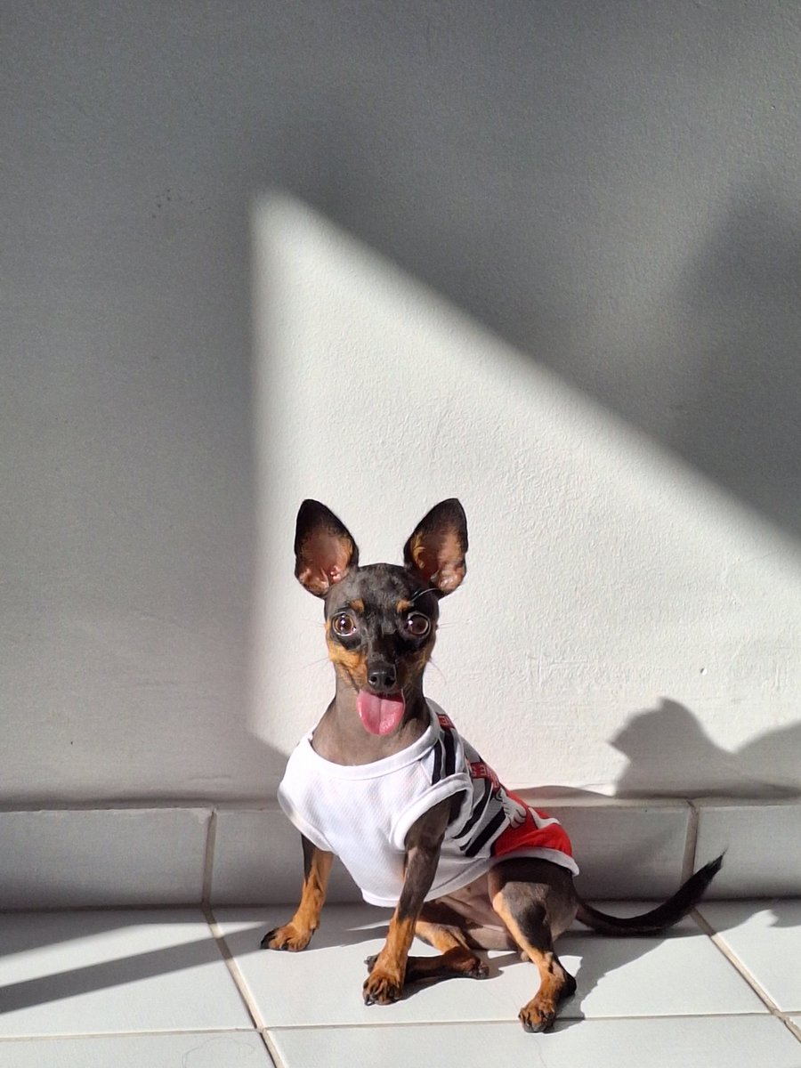 joh_fsousa's tweet photo. @itimaliasof Frida ��� https://t.co/8T2MFNEVsI