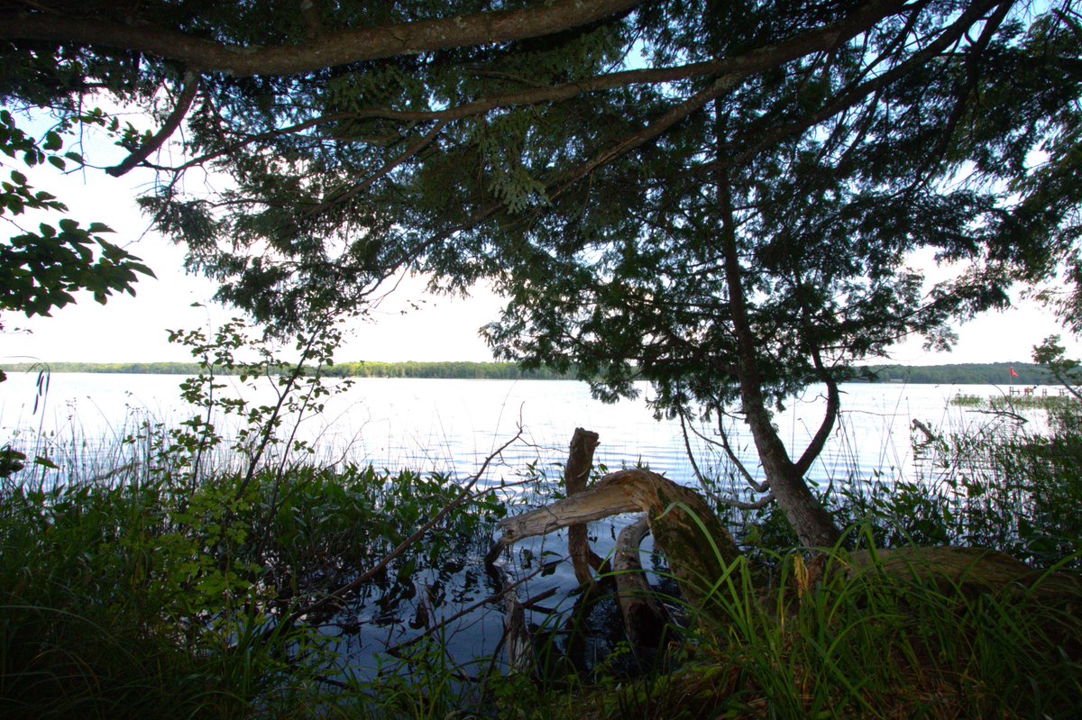 JDMisina's tweet photo. Upper Michigan, this 9-acre lake parcel on Langford Lake just hit the market! Listed by our newest agent, Ashley Faulk! 
https://t.co/XAzbLW11xV https://t.co/7oHYAqoagy