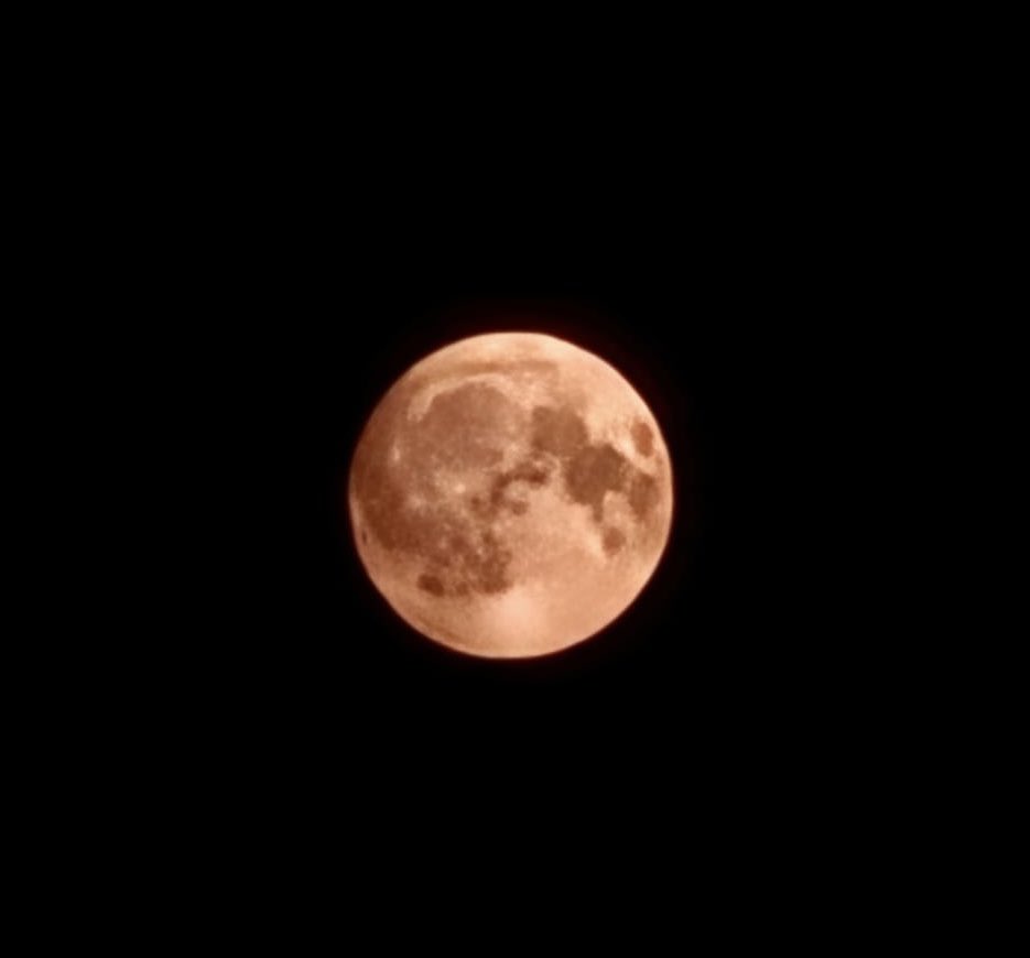 JimFSaunders's tweet photo. @JoyceGervis Well I saw it Joyce, and was a cracker, but do you know, I couldn't be bothered to get my camera. It's O.K. though, cos my 14 year old neighbour took this. On her phone.... https://t.co/YjJqHfBt6H
