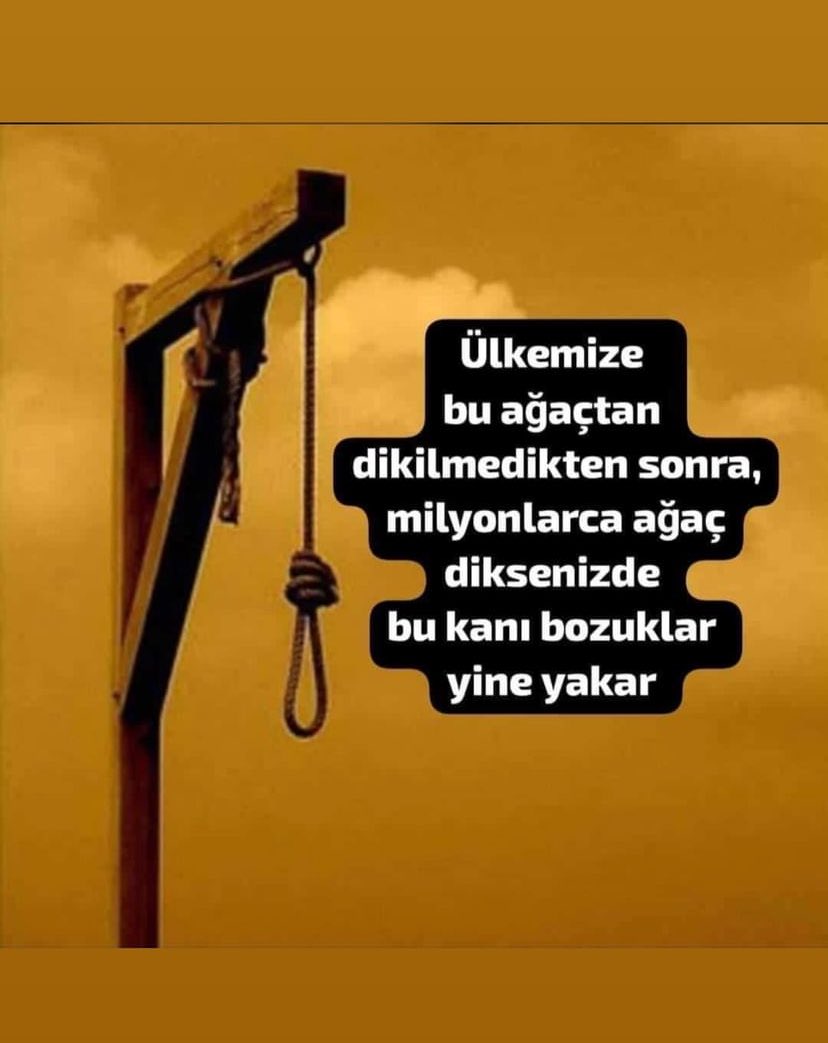 Kadir (@kadir63261465) on Twitter photo 
