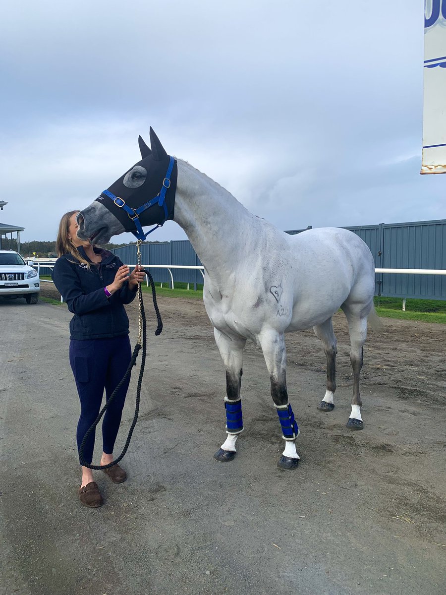 HillviewThorou1's tweet photo. 🔥👑🦐
Yesterday Chilli’s winter holiday ended. 
After a big bath/trim up we made a quick trip into @WyongRaceClub so he and Abi could participate in the FOTF.
Thank you Sara Ryan Racing for the stable so we could enjoy a lovely lunch.
#thebestboy #hkjc #jjsize #championsprinter https://t.co/C3oRZHVLxk